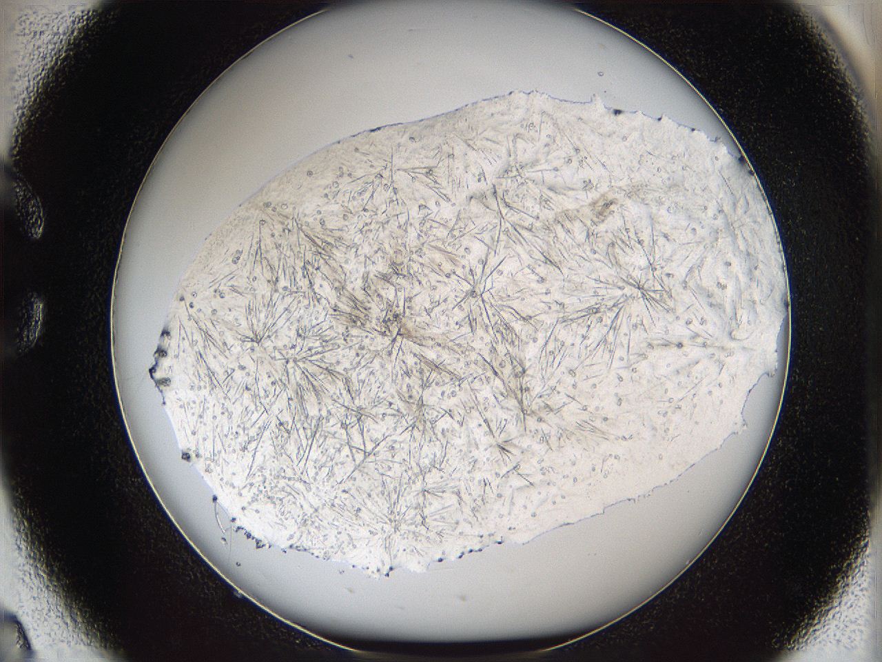 063a_C2_ImagerDefaults_7.jpg