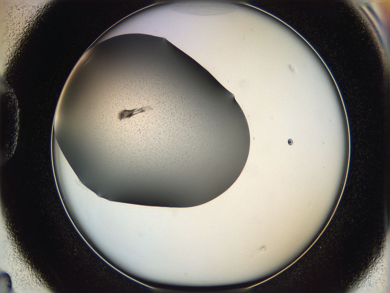 063a_D4_ImagerDefaults_7.jpg