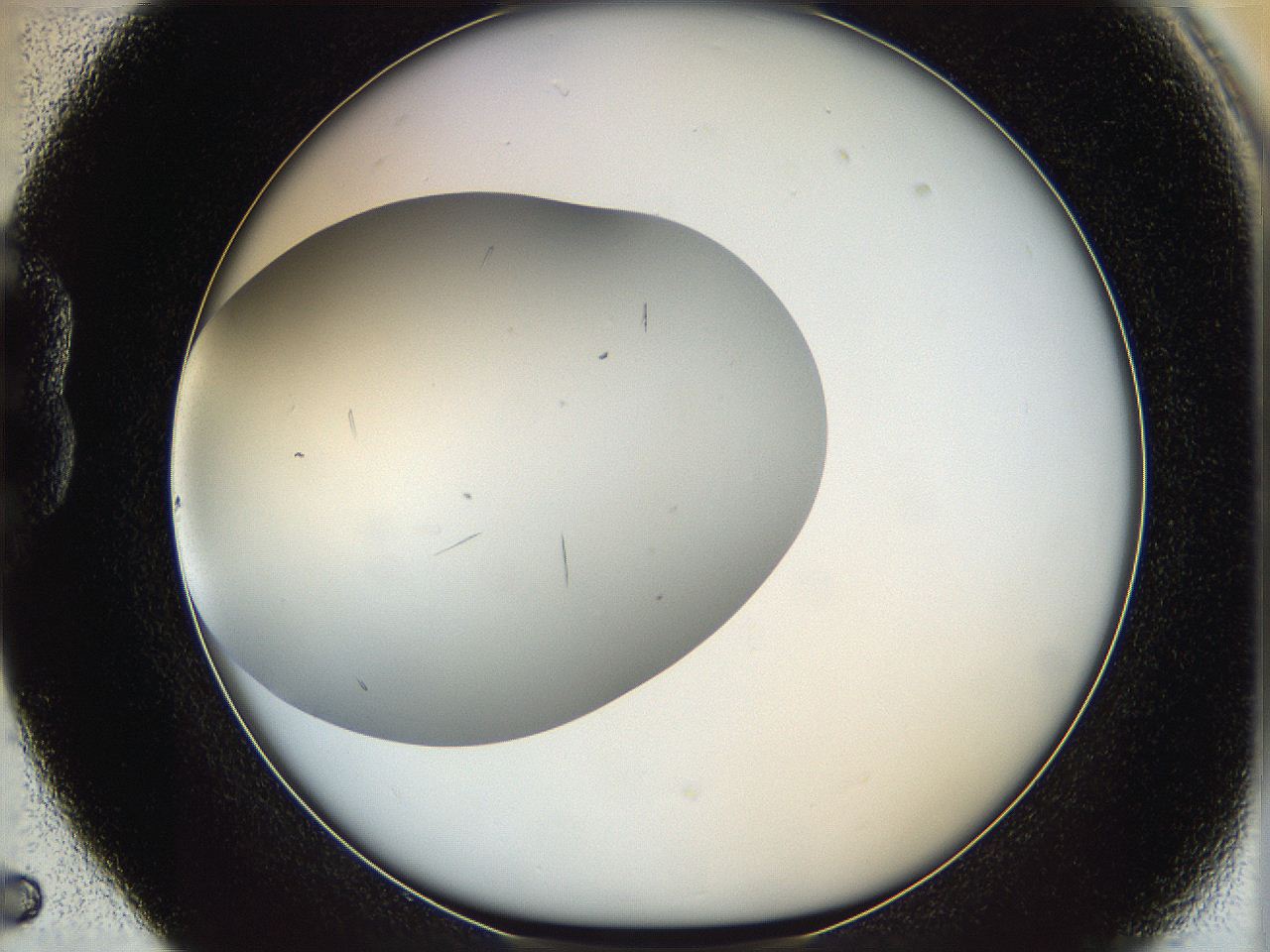 063a_B5_ImagerDefaults_7.jpg