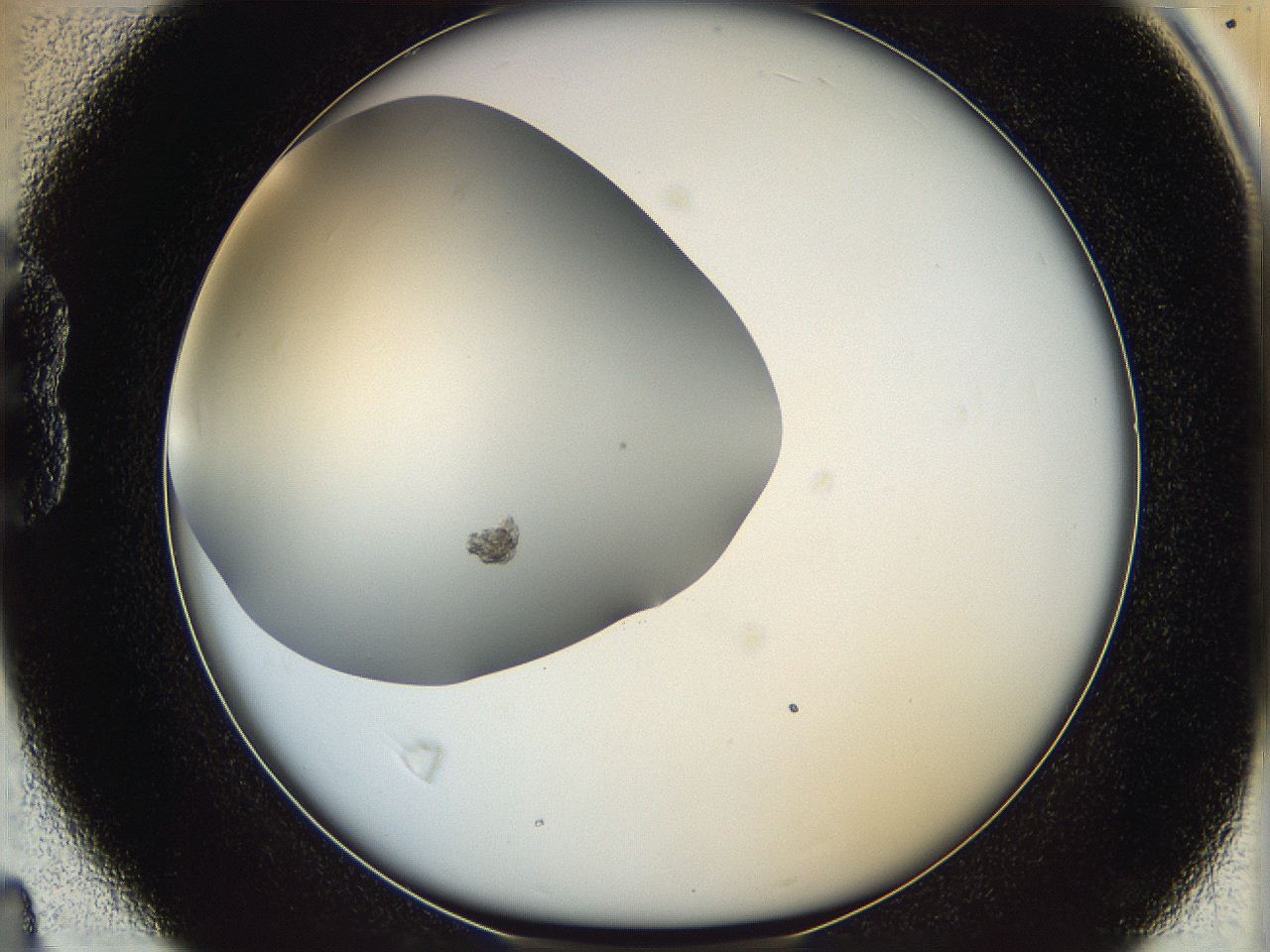 063a_B4_ImagerDefaults_7.jpg