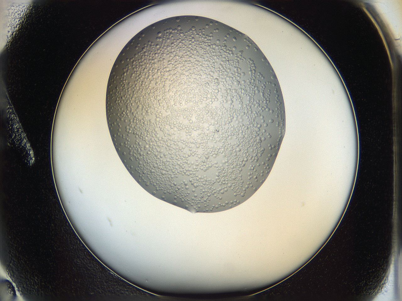 063a_A2_ImagerDefaults_6.jpg