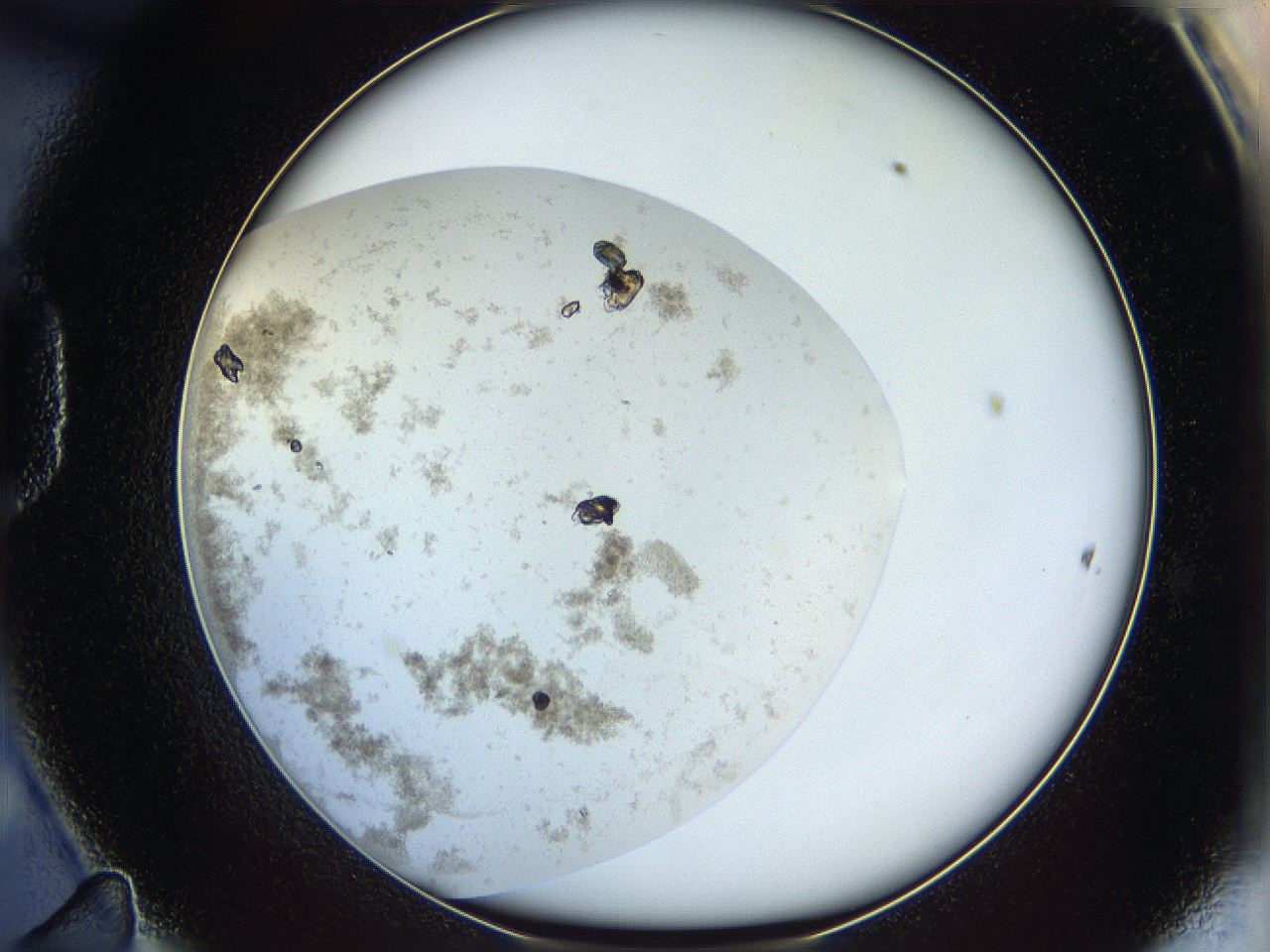 063a_D11_ImagerDefaults_7.jpg