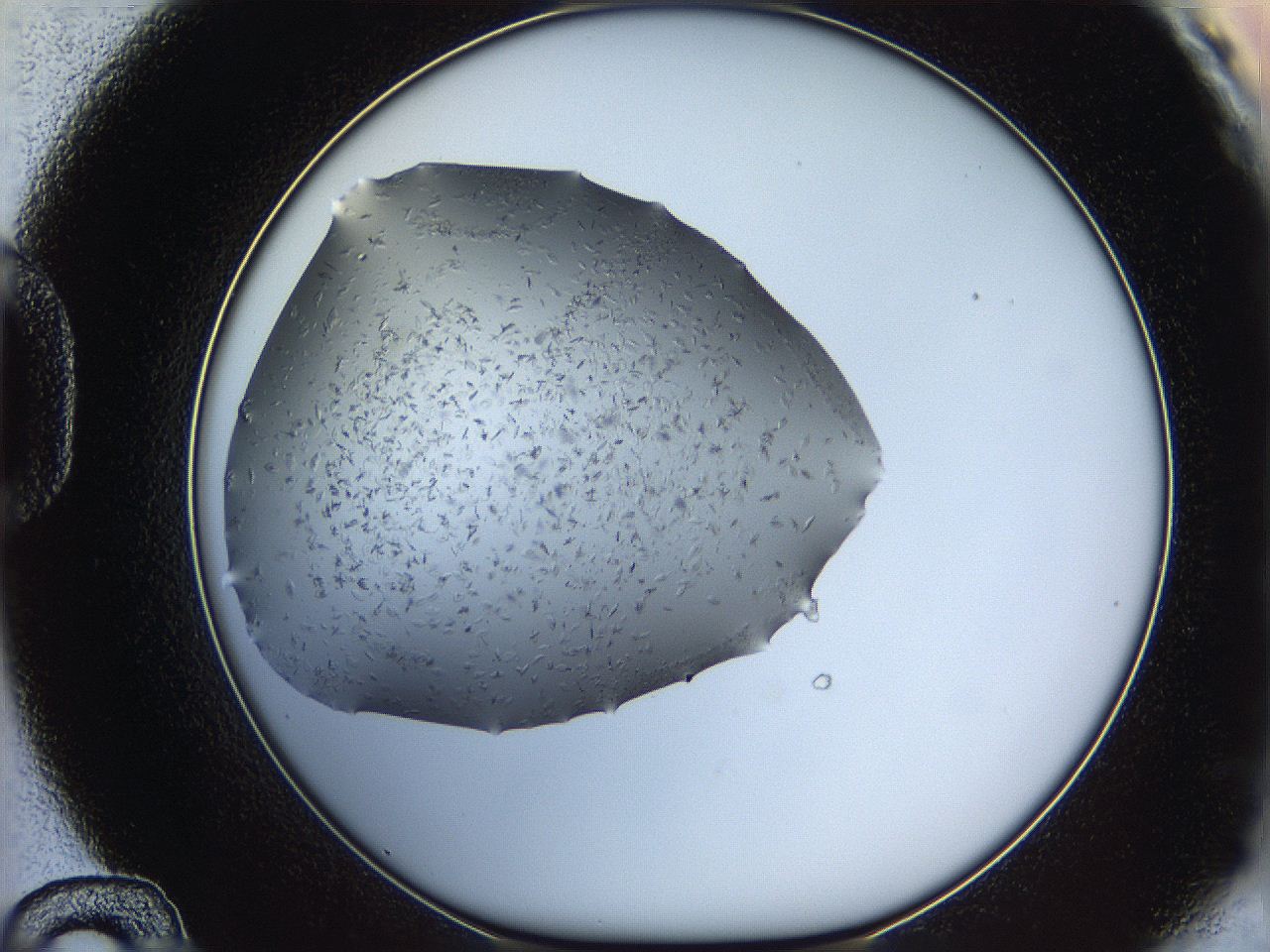 063a_D12_ImagerDefaults_8.jpg
