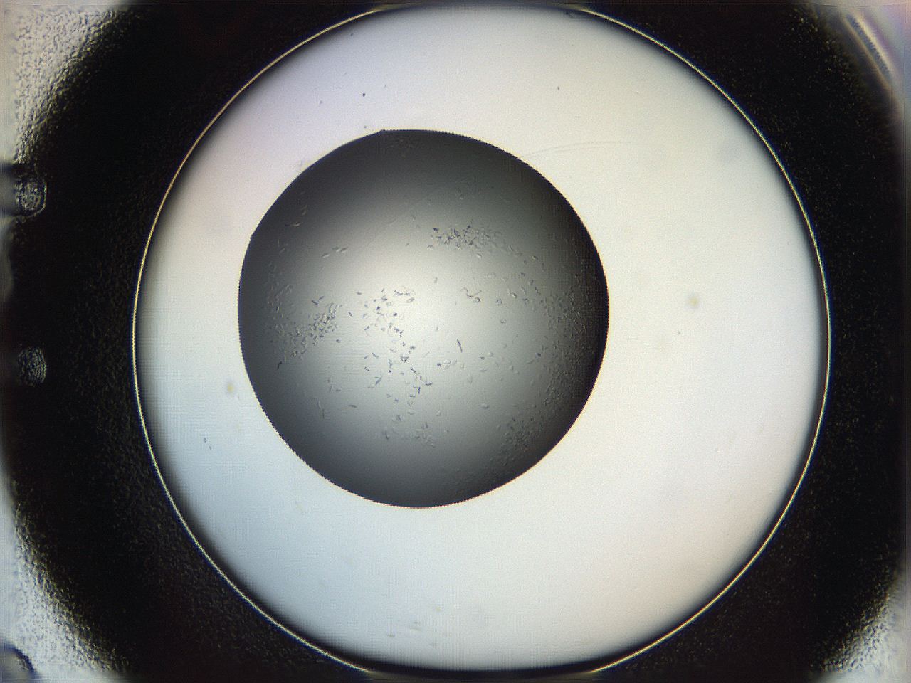 063a_E9_ImagerDefaults_7.jpg