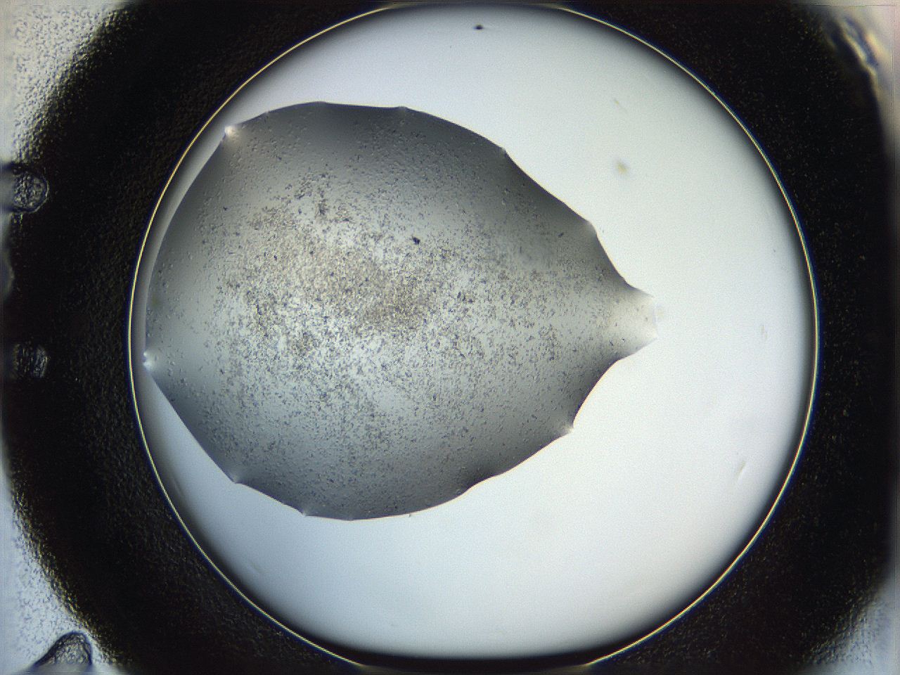 063a_E11_ImagerDefaults_6.jpg