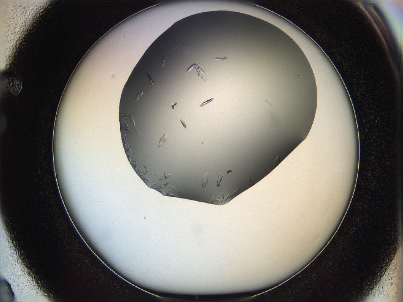 063a_F3_ImagerDefaults_9.jpg