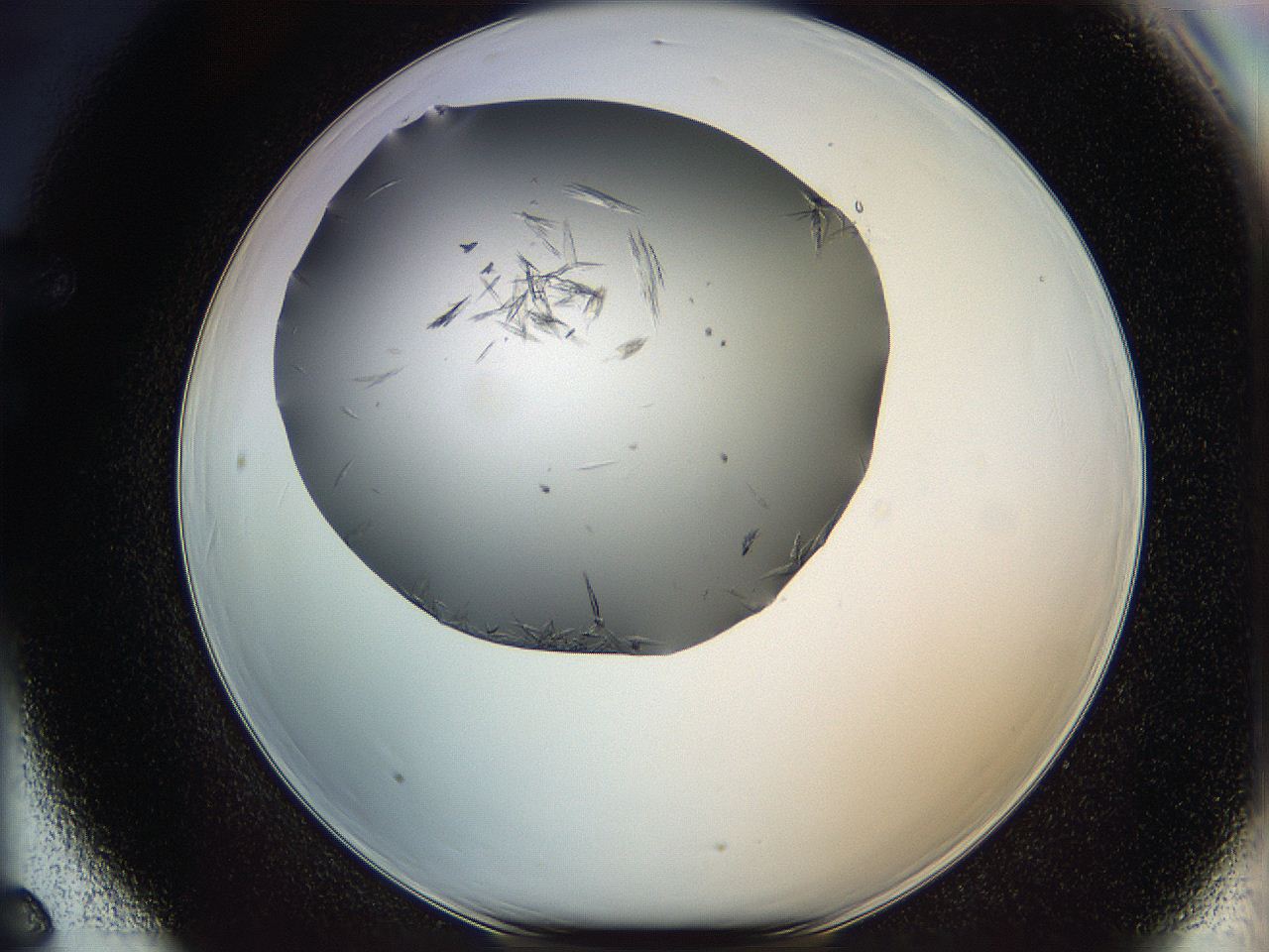 063a_F6_ImagerDefaults_8.jpg