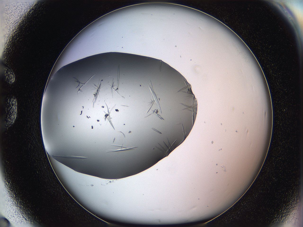 063a_G8_ImagerDefaults_9.jpg