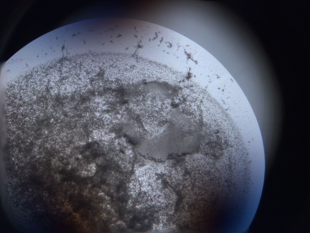 063i_B2_ImagerDefaults_3.jpg