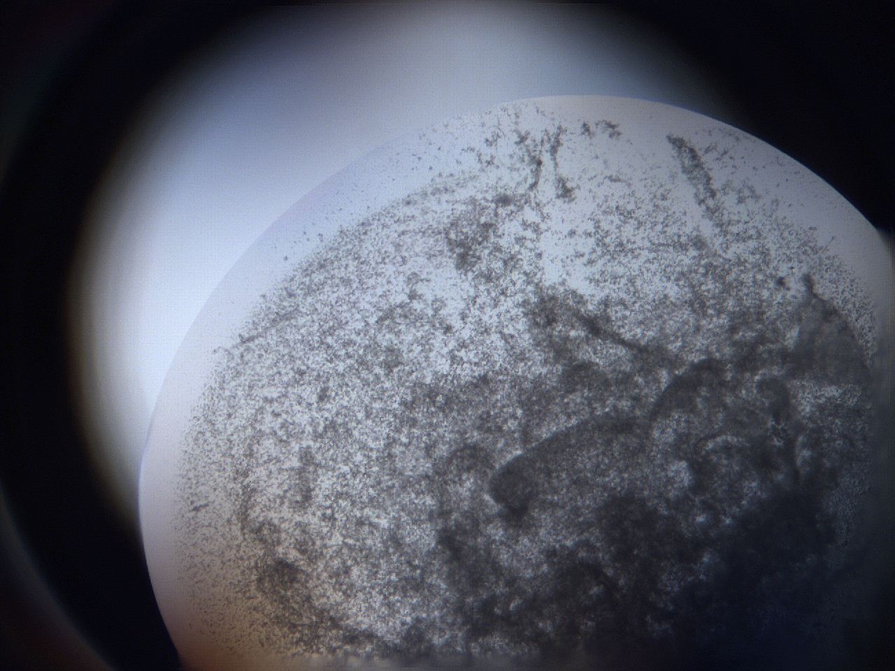 063i_A2_ImagerDefaults_3.jpg