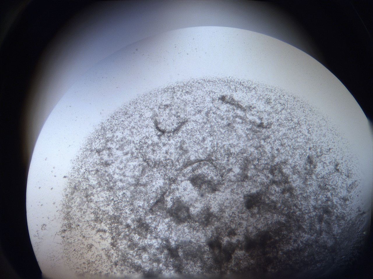 063i_B1_ImagerDefaults_9.jpg