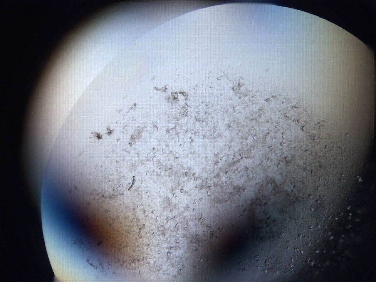 063i_D2_ImagerDefaults_9.jpg