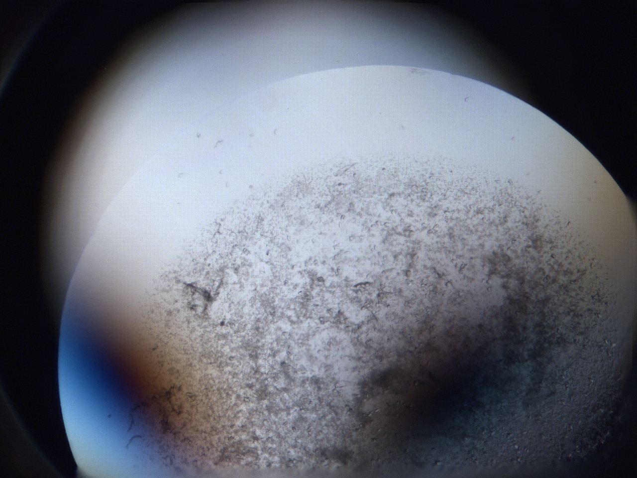 063i_D1_ImagerDefaults_9.jpg