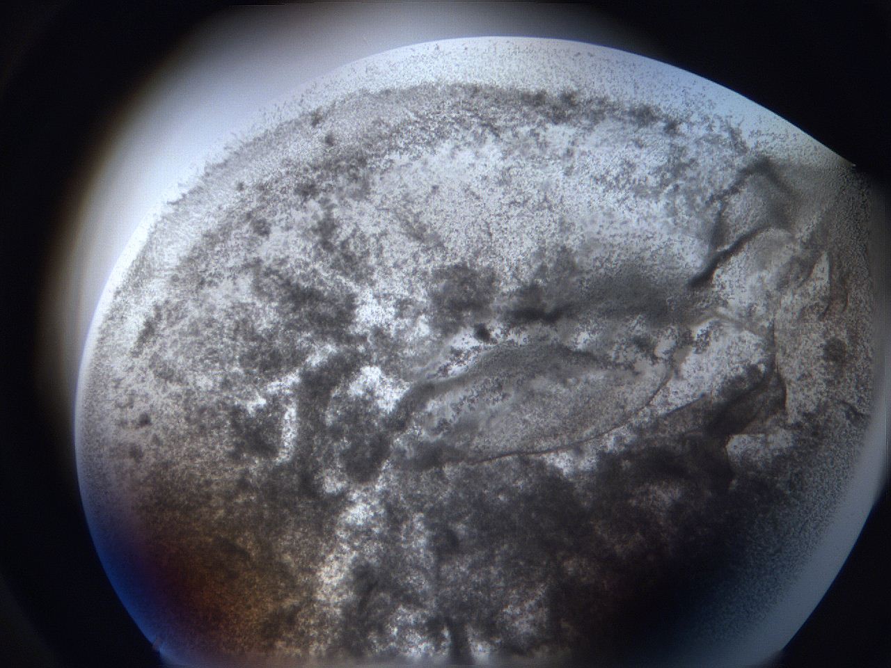063i_C5_ImagerDefaults_3.jpg
