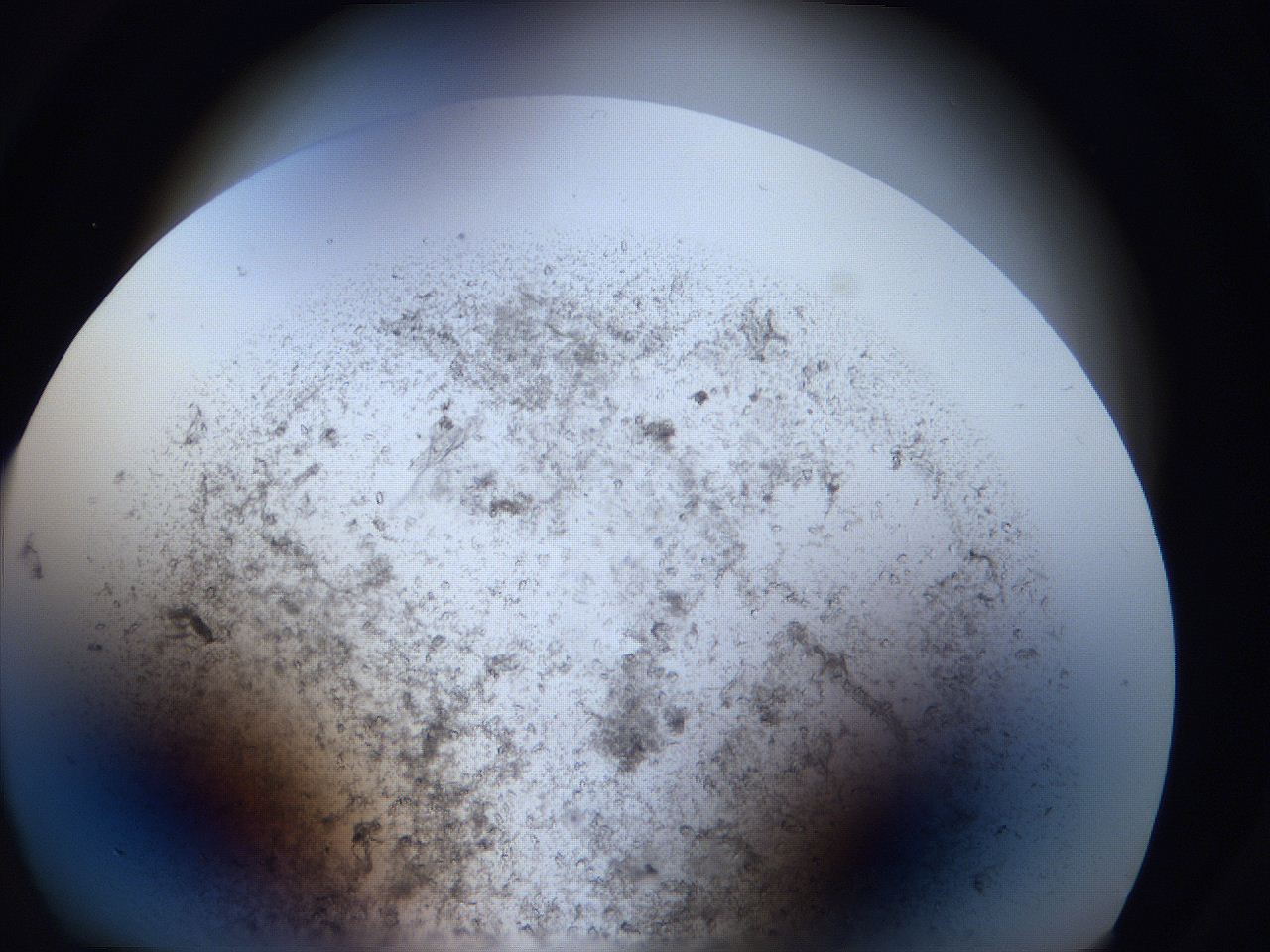 063i_C1_ImagerDefaults_9.jpg