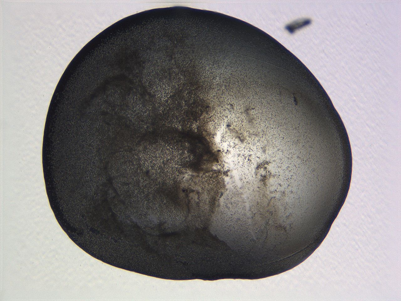 063k_B10_ImagerDefaults_3.jpg