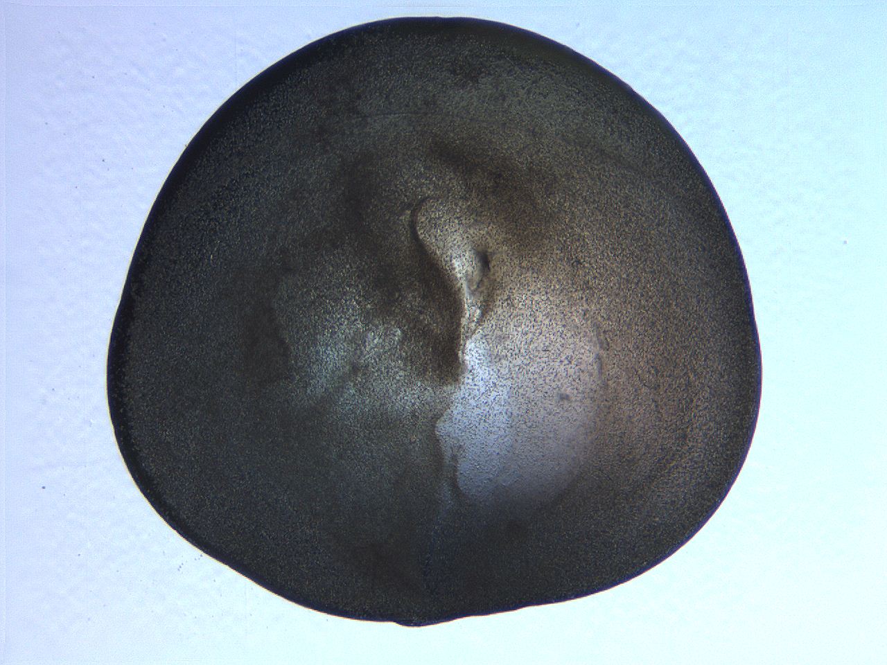063k_B11_ImagerDefaults_3.jpg