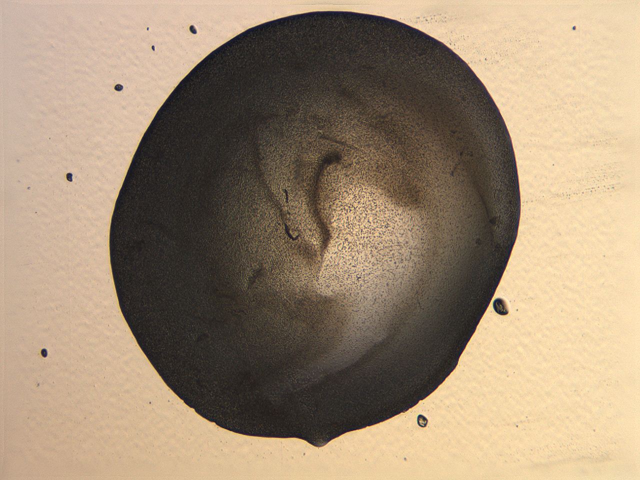 063k_B12_ImagerDefaults_3.jpg