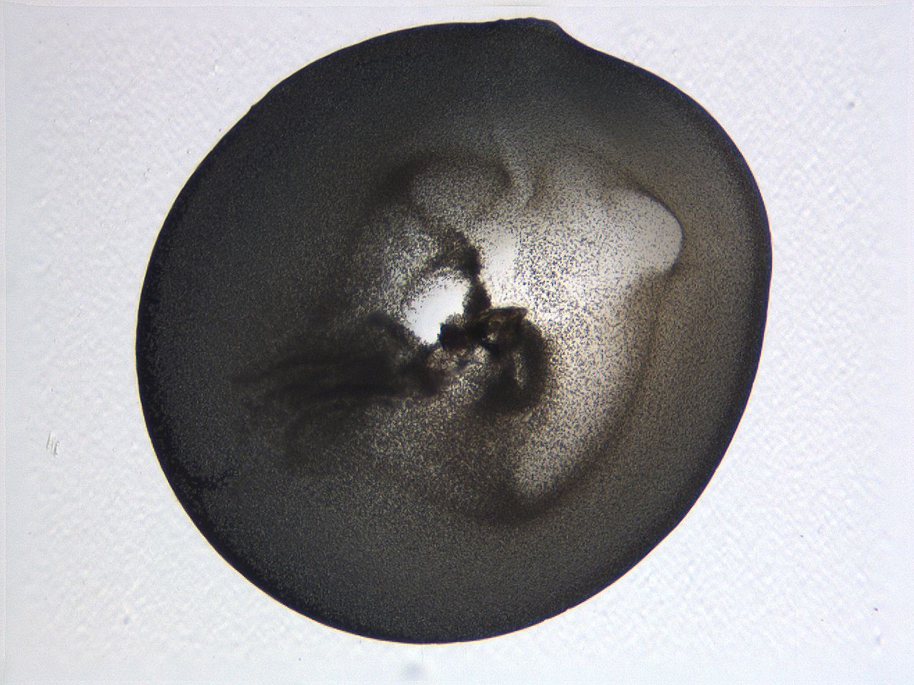 063k_E9_ImagerDefaults_3.jpg