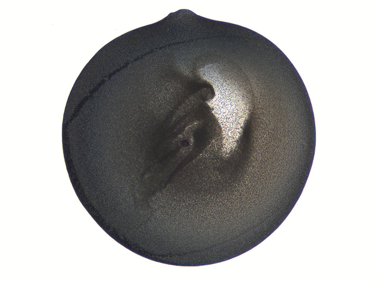 063k_E8_ImagerDefaults_3.jpg