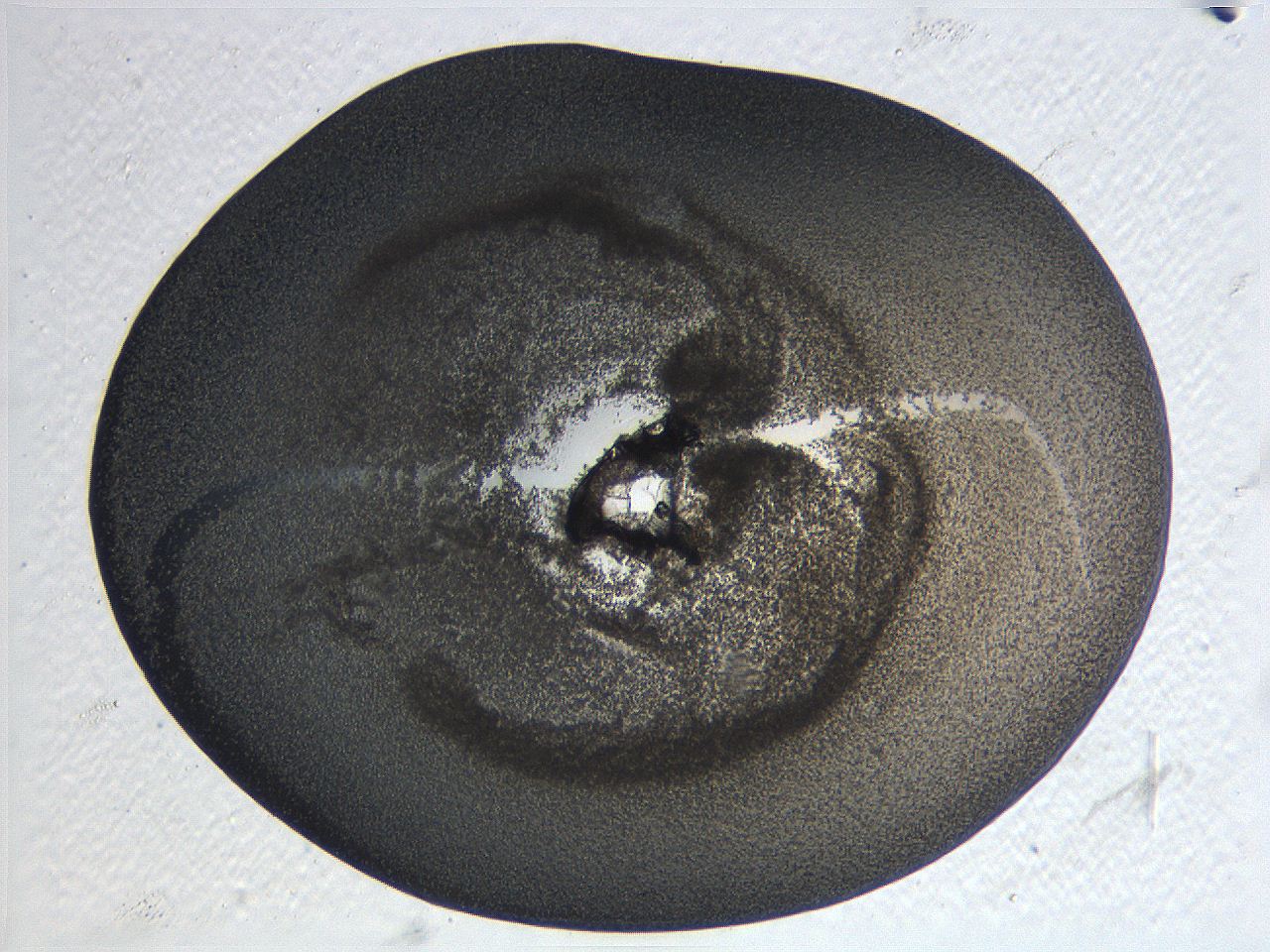 063k_E2_ImagerDefaults_3.jpg