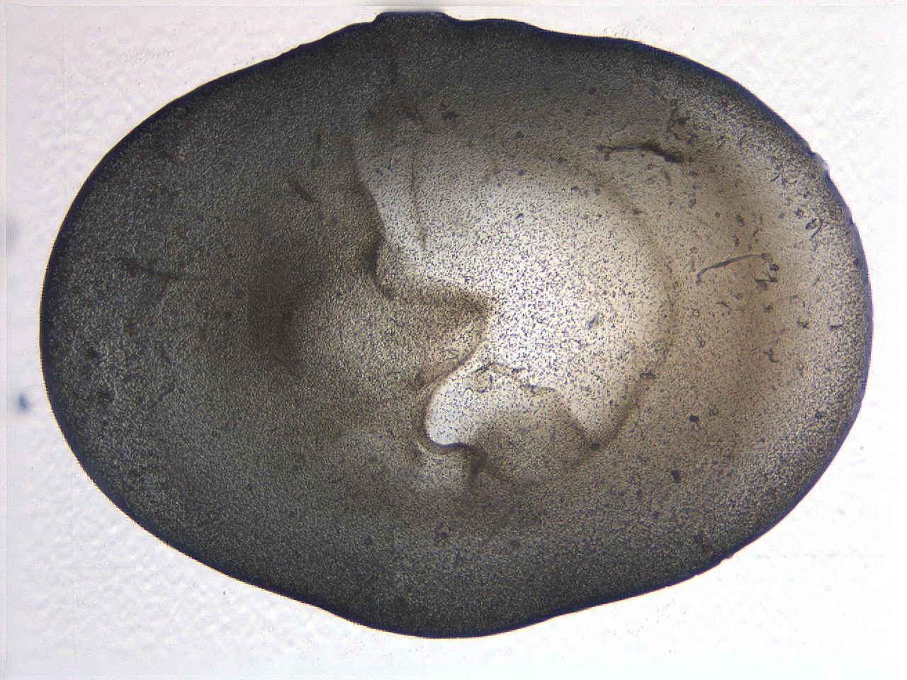 063k_A12_ImagerDefaults_3.jpg