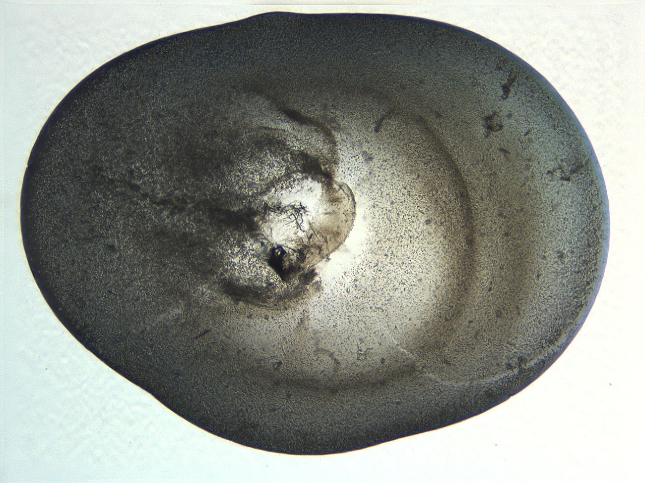 063k_A10_ImagerDefaults_3.jpg