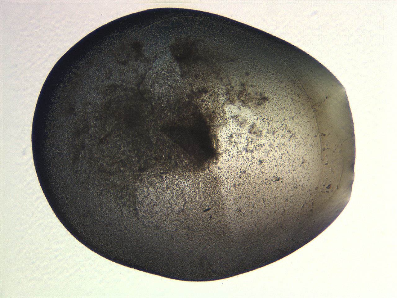063k_A9_ImagerDefaults_3.jpg