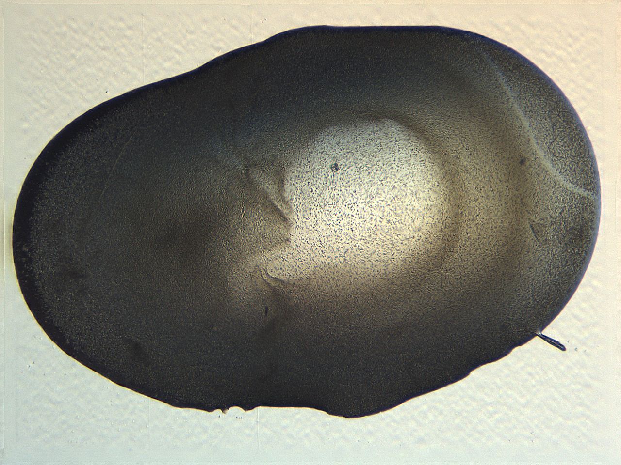 063k_C12_ImagerDefaults_3.jpg