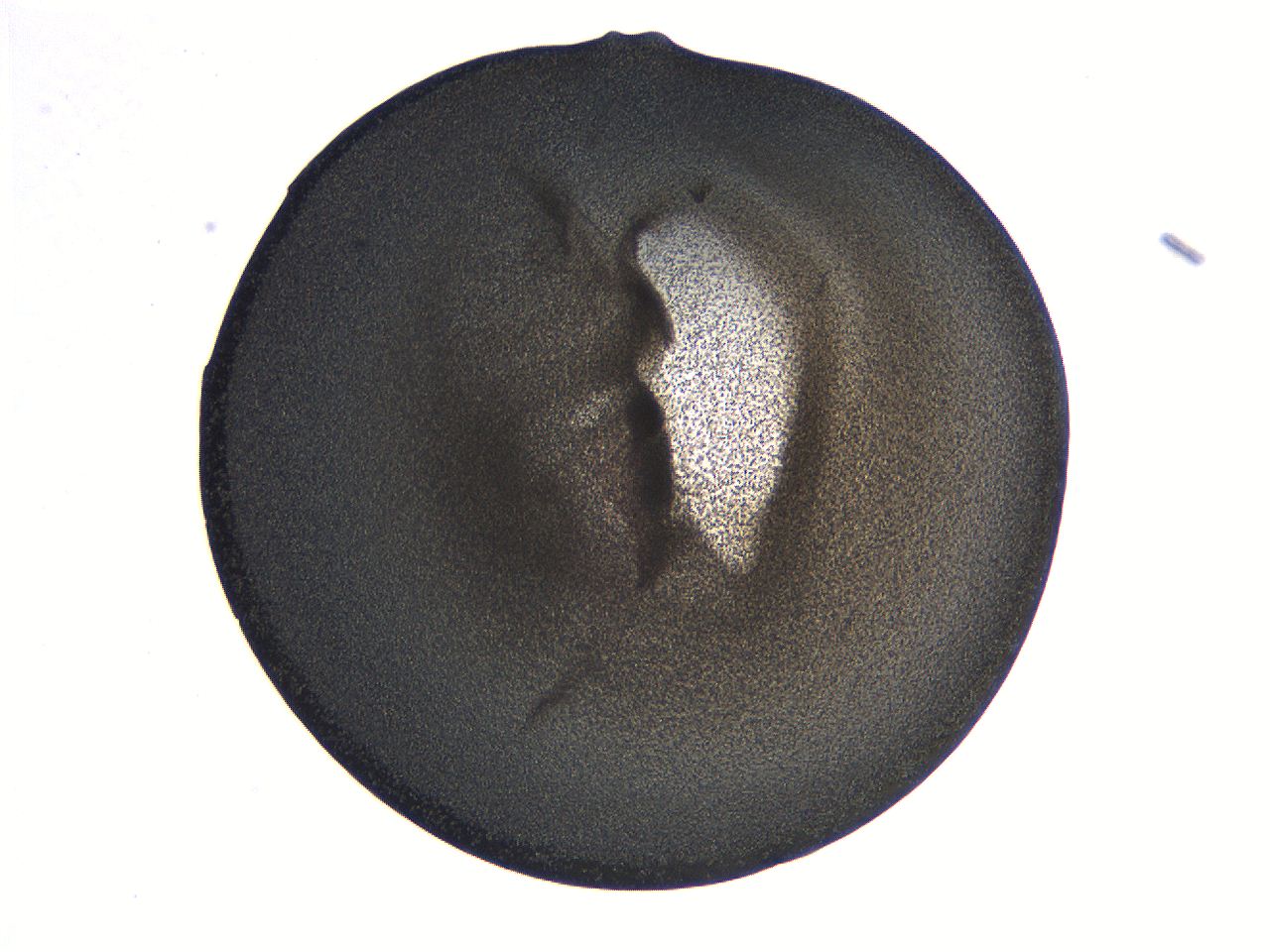 063k_E10_ImagerDefaults_3.jpg