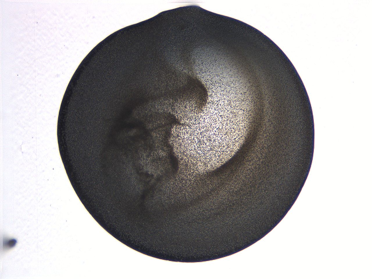 063k_E11_ImagerDefaults_3.jpg