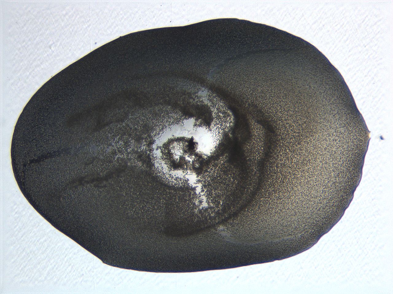 063k_F3_ImagerDefaults_3.jpg