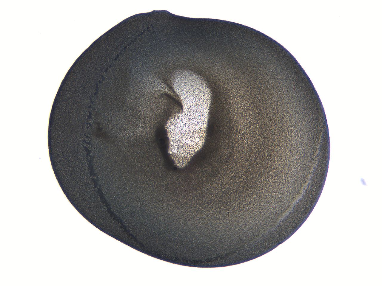 063k_D10_ImagerDefaults_3.jpg
