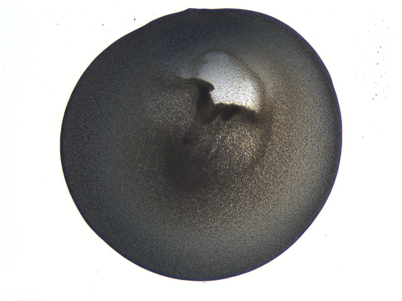 063k_F8_ImagerDefaults_3.jpg