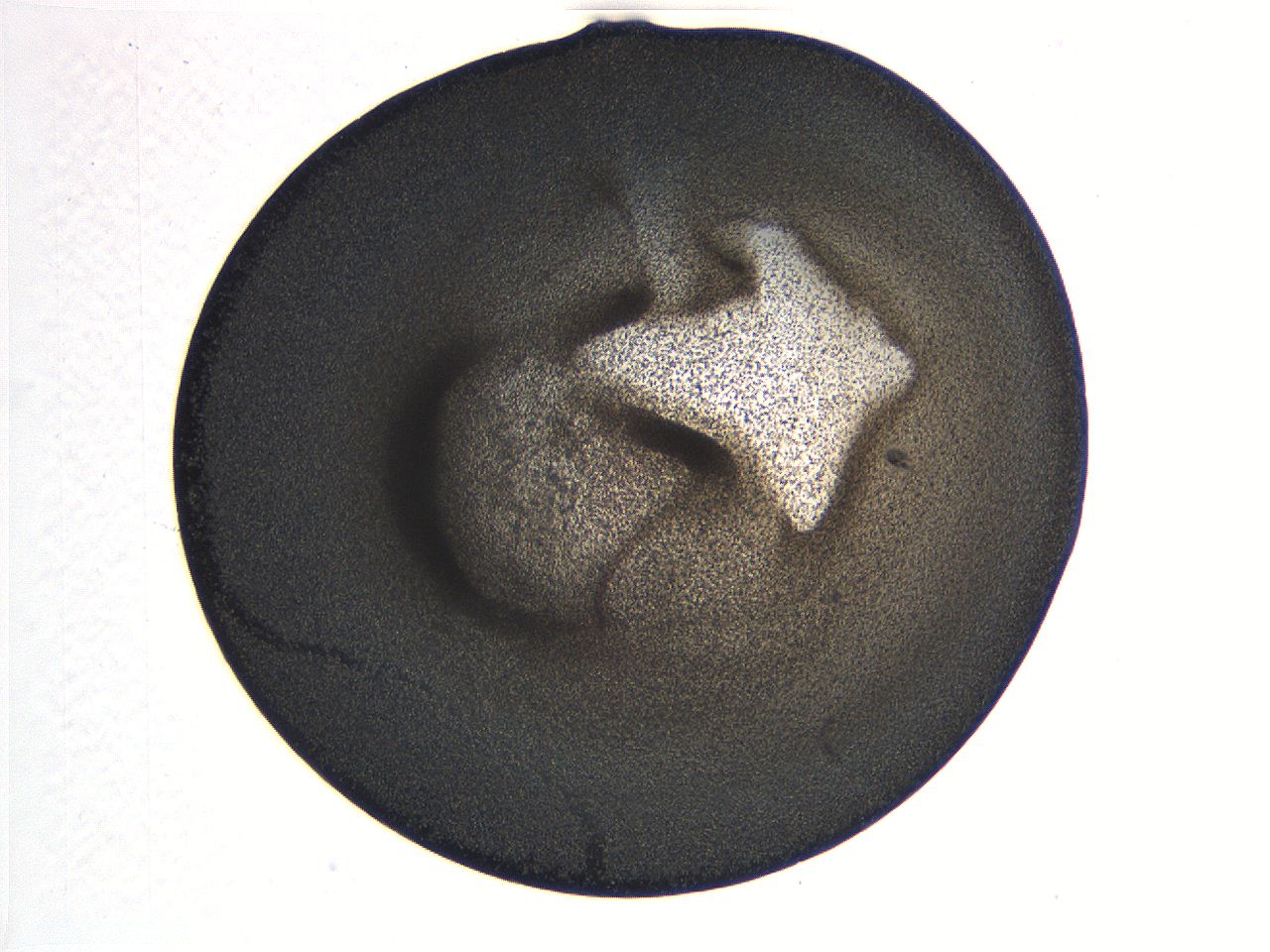 063k_F11_ImagerDefaults_3.jpg