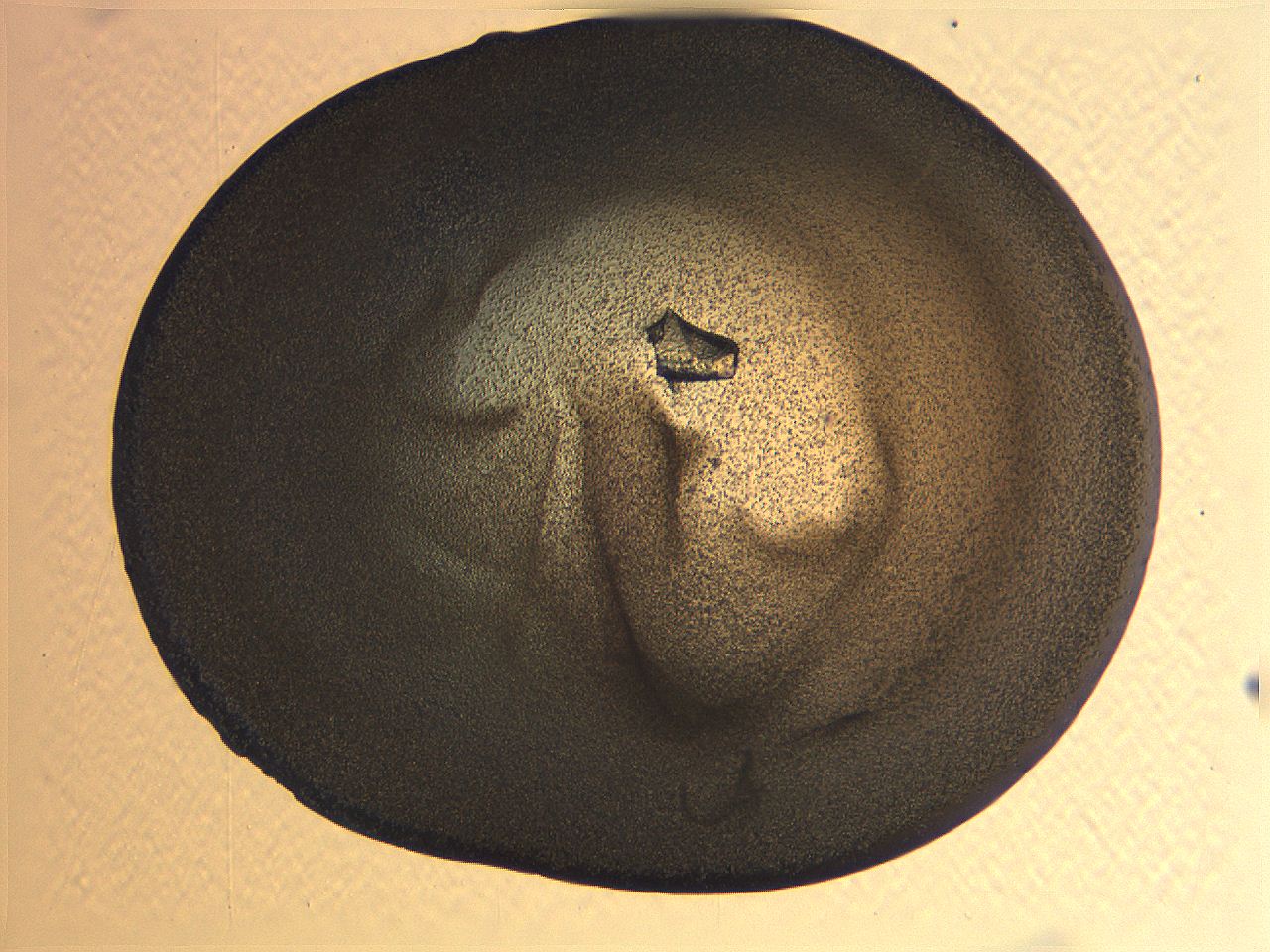 063k_F12_ImagerDefaults_3.jpg