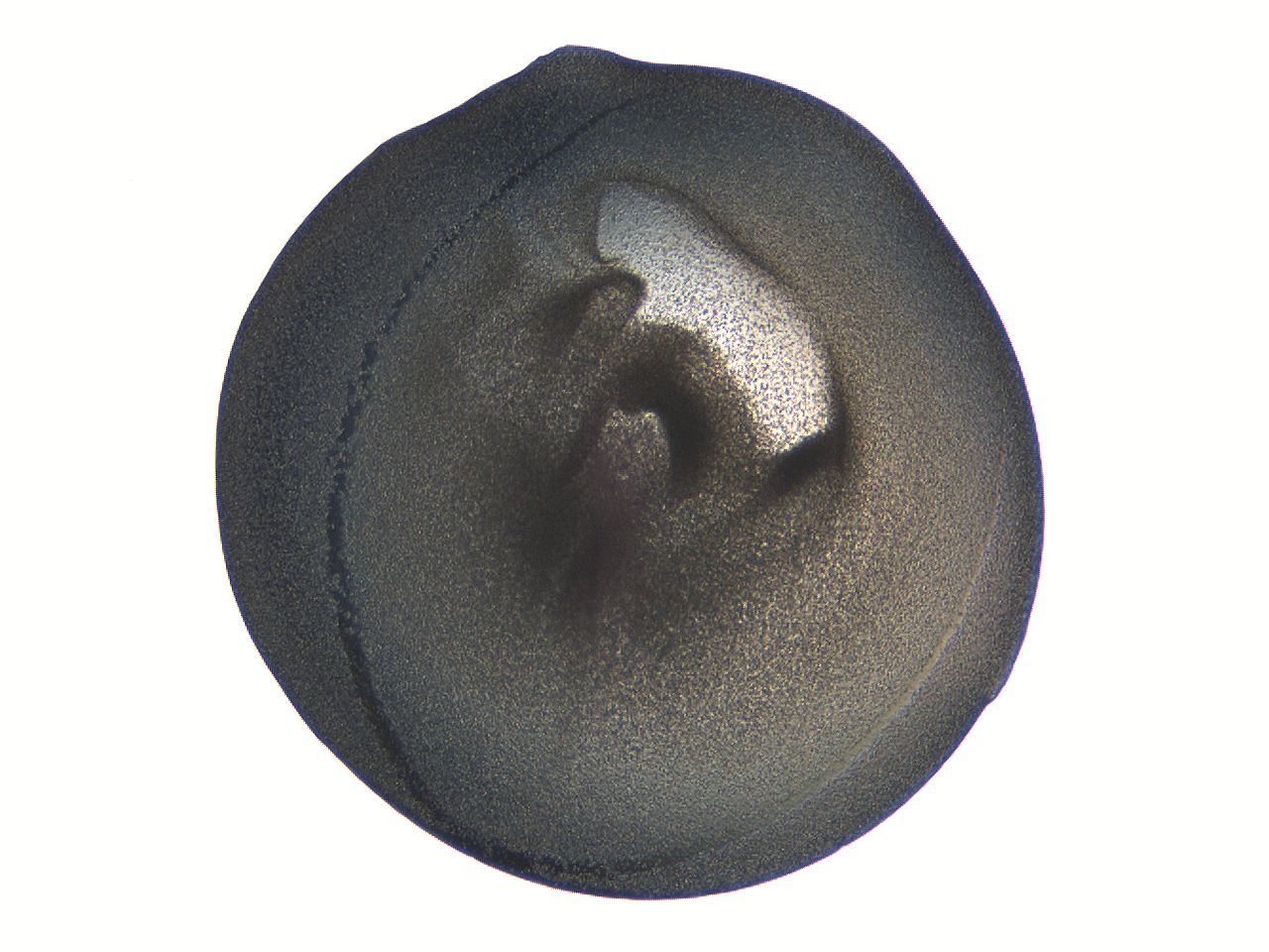 063k_D8_ImagerDefaults_3.jpg