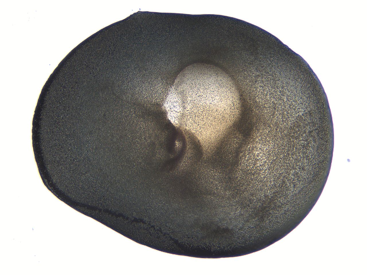 063k_G10_ImagerDefaults_3.jpg