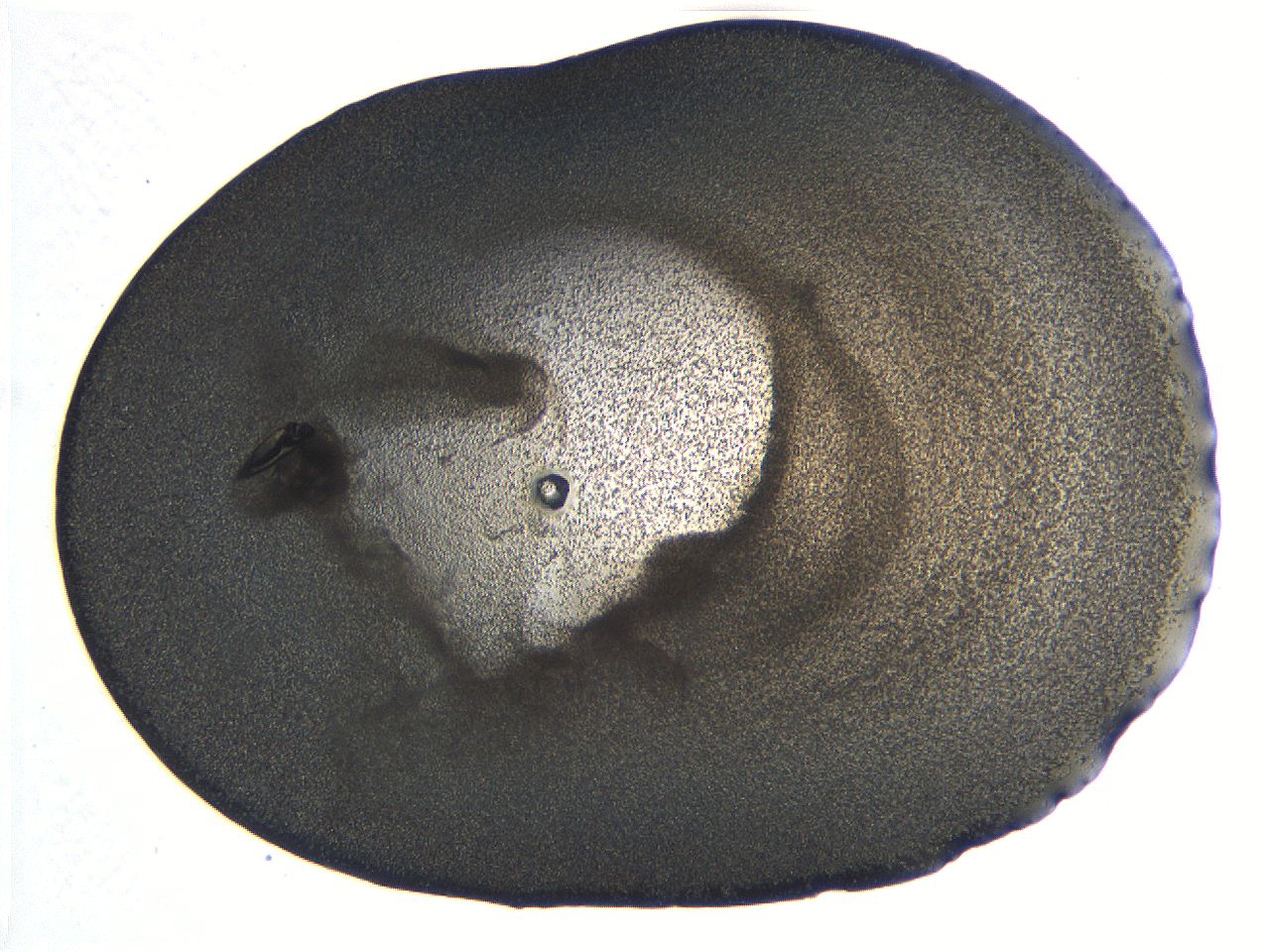 063k_G11_ImagerDefaults_3.jpg