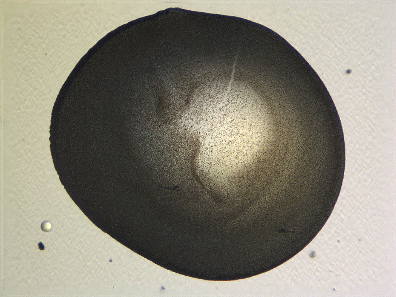063k_G12_ImagerDefaults_3.jpg