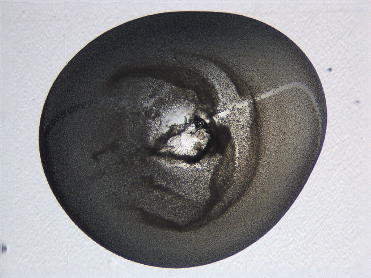 063k_D4_ImagerDefaults_3.jpg