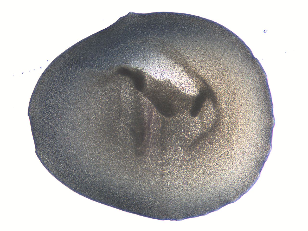 063k_D6_ImagerDefaults_3.jpg