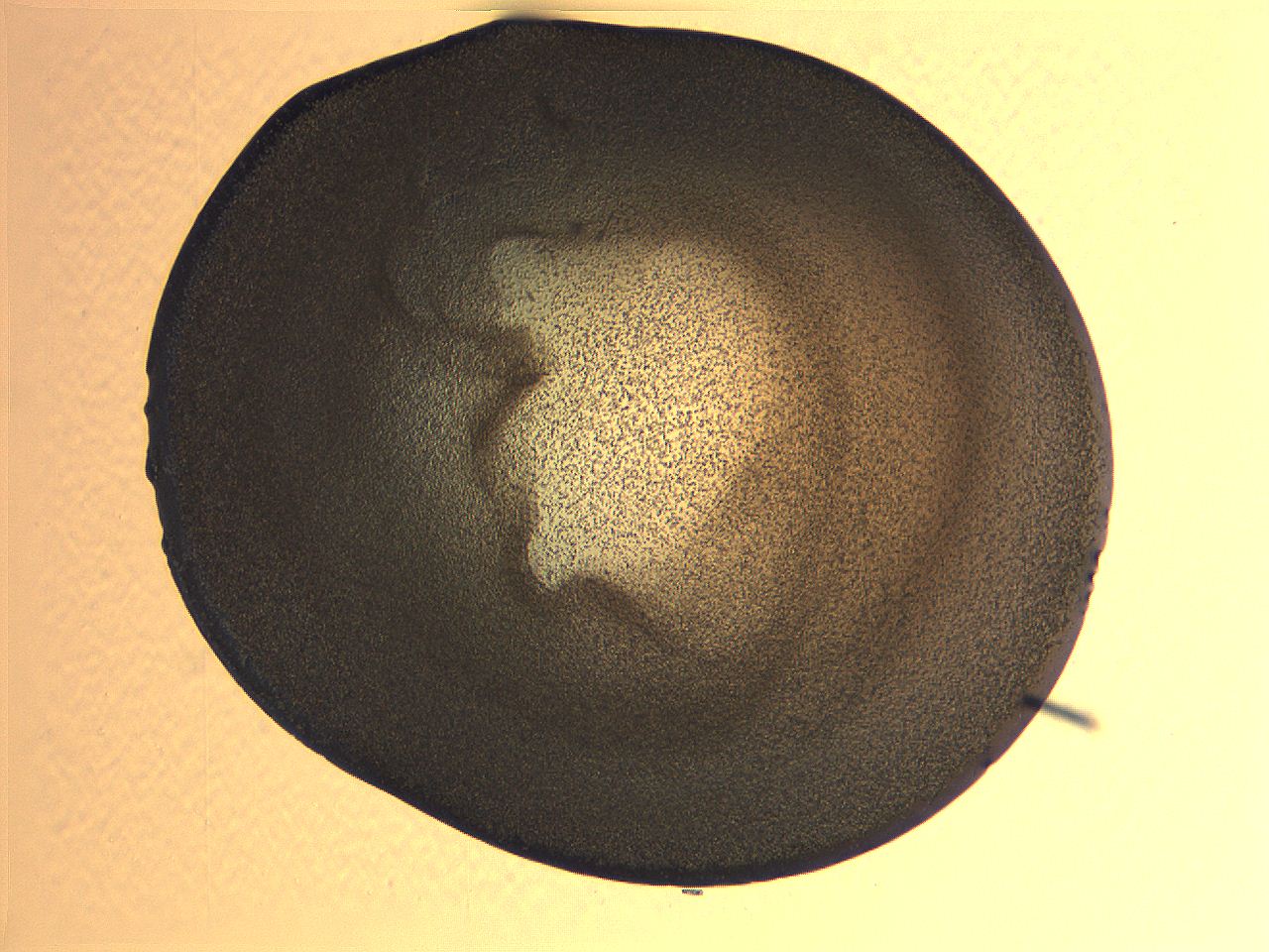 063k_E12_ImagerDefaults_3.jpg