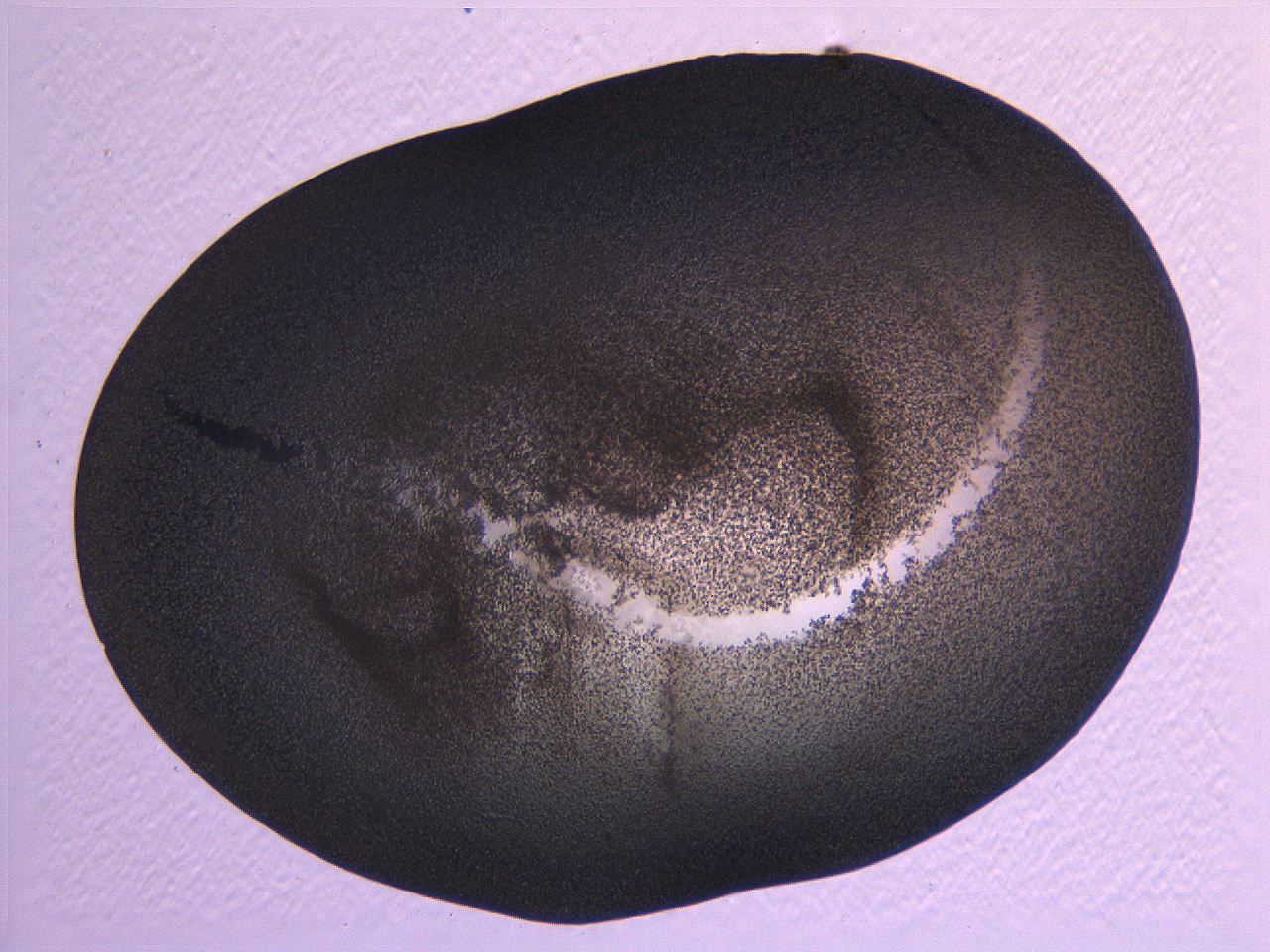 063k_G1_ImagerDefaults_3.jpg