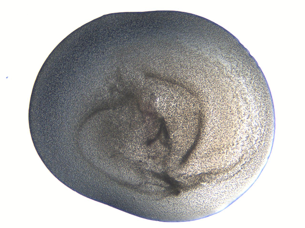 063k_G2_ImagerDefaults_3.jpg