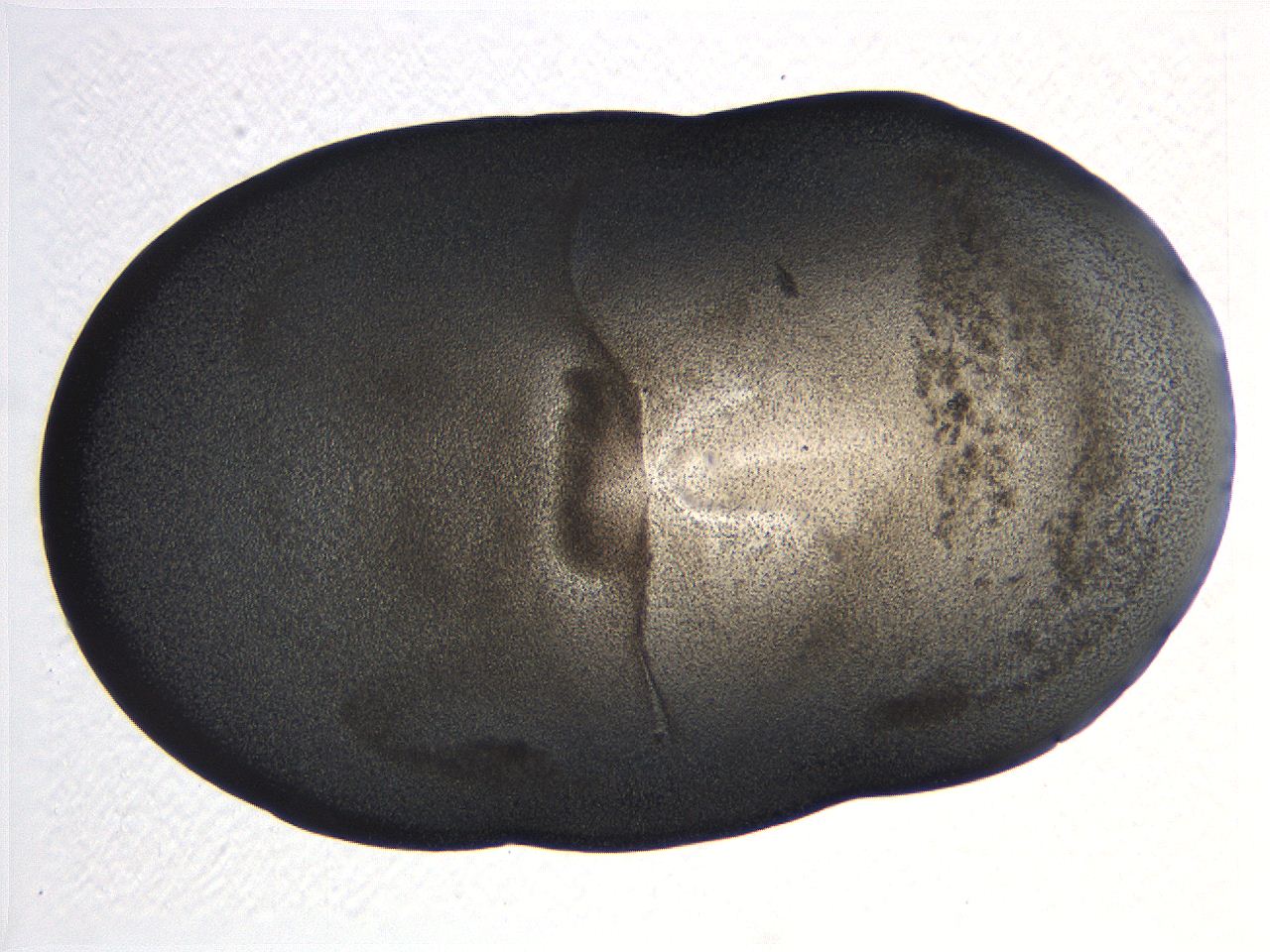 063k_G7_ImagerDefaults_3.jpg