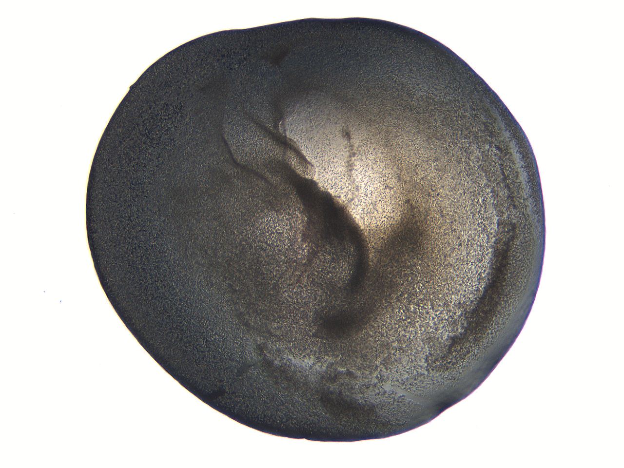 063k_G8_ImagerDefaults_3.jpg