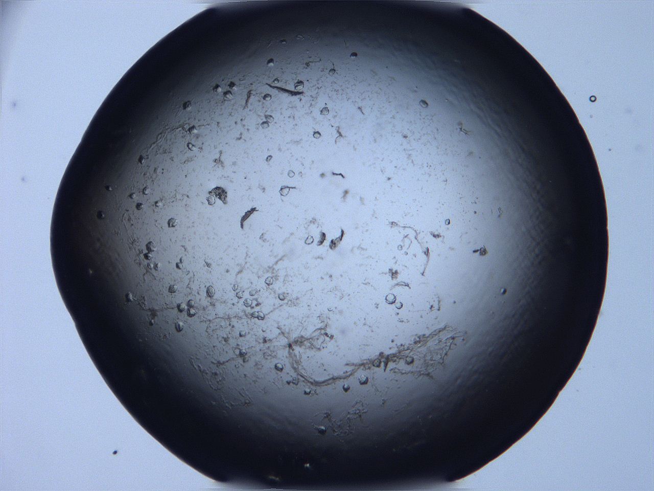 063o_G10_ImagerDefaults_9.jpg