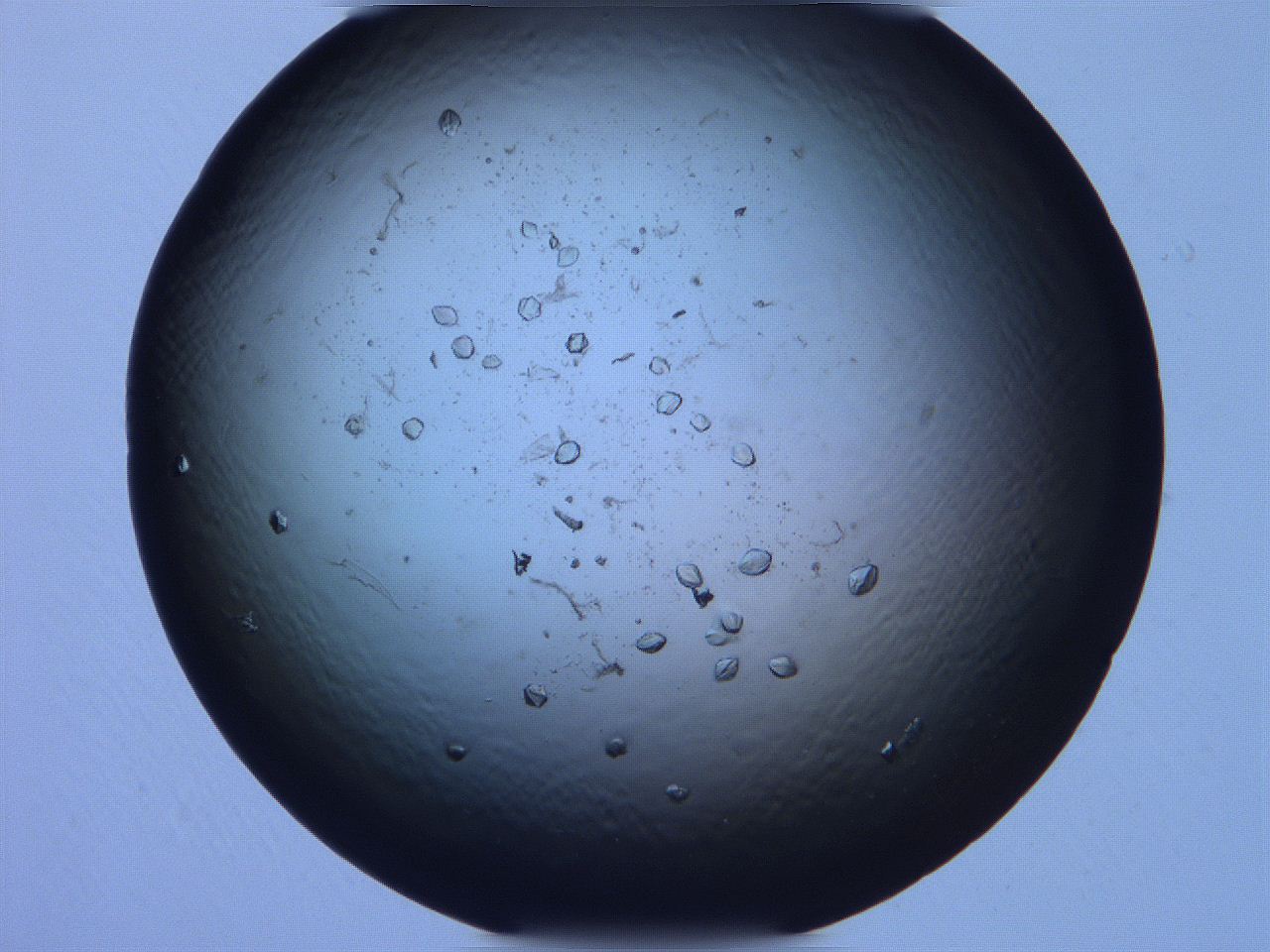 063o_B11_ImagerDefaults_9.jpg