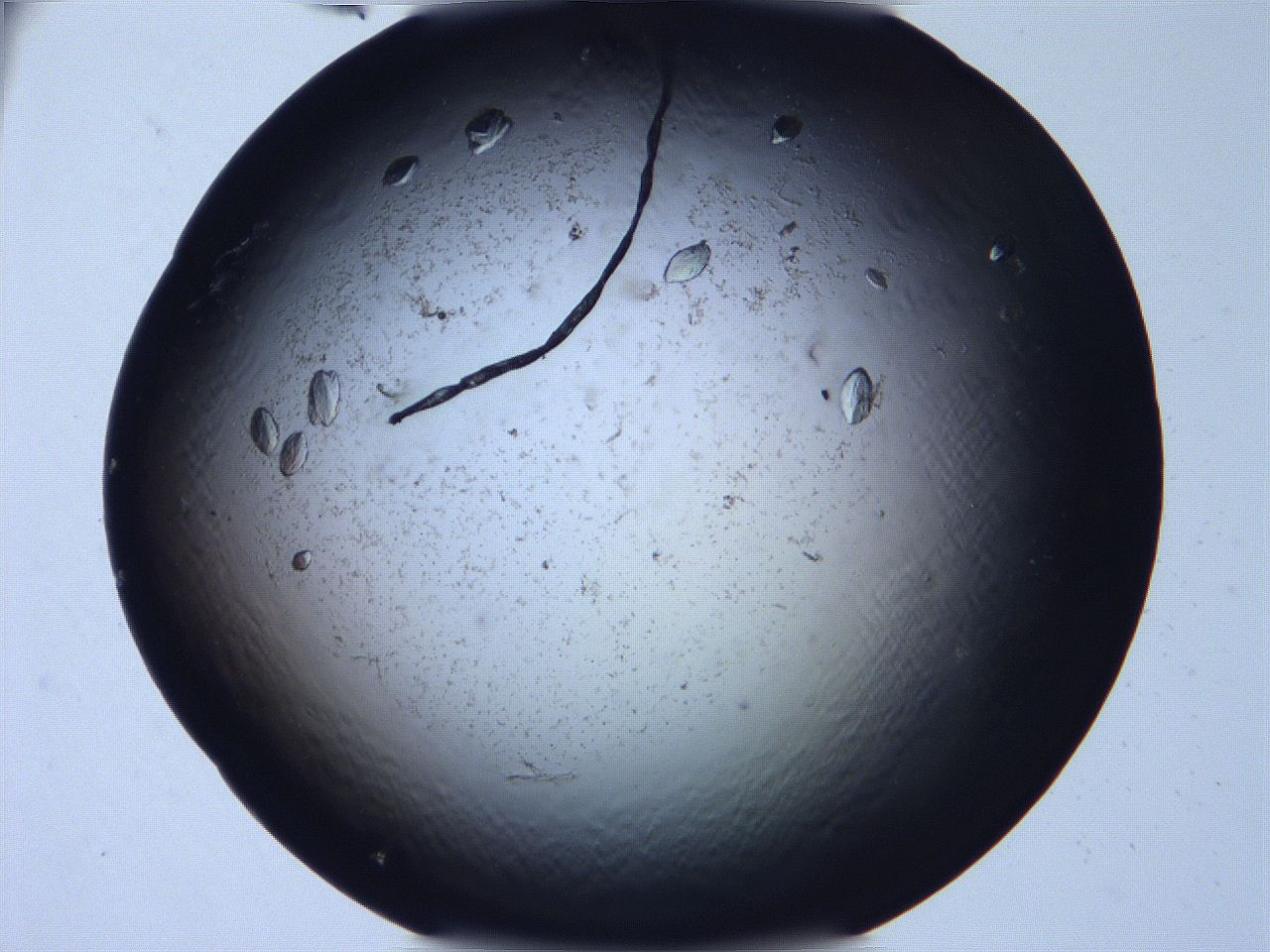 063o_C3_ImagerDefaults_6.jpg